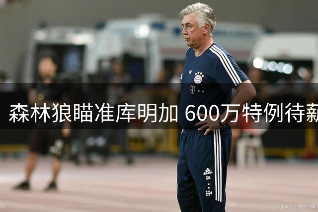 森林狼瞄准库明加 600万特例待薪资调整
